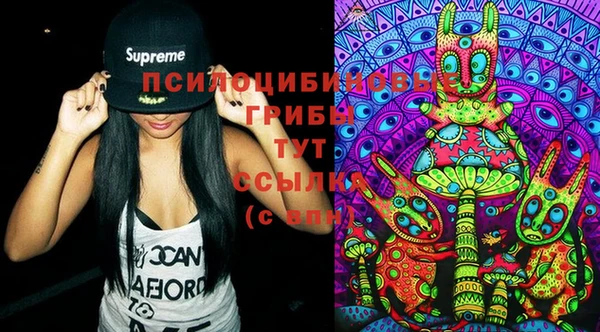 молекула духа Семёнов